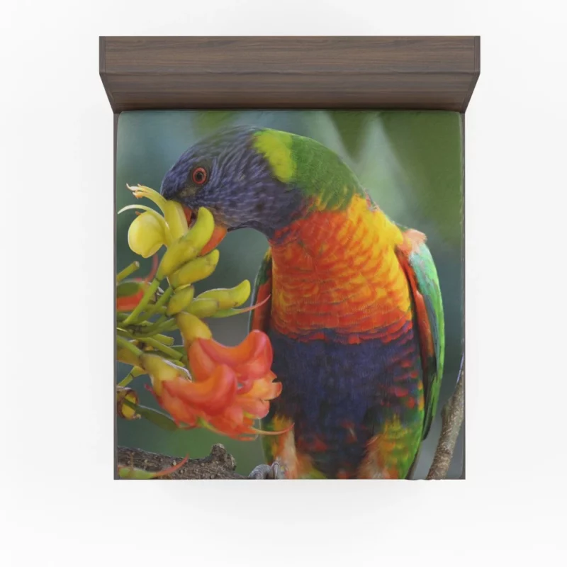 Rainbow Lorikeet Colorful Feast Vibrant Bird Fitted Sheet 1