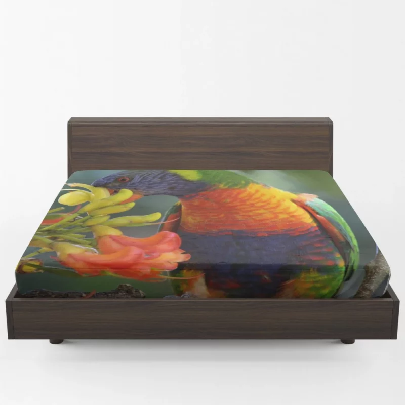 Rainbow Lorikeet Colorful Feast Vibrant Bird Fitted Sheet