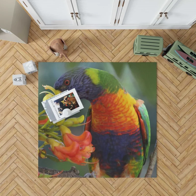 Rainbow Lorikeet Colorful Feast Vibrant Bird Rug