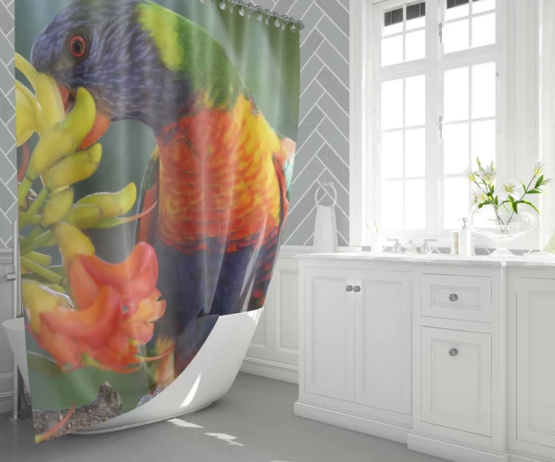 Rainbow Lorikeet Colorful Feast Vibrant Bird Shower Curtain 1