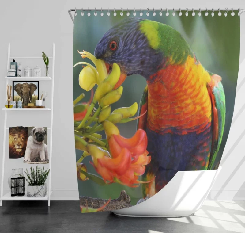 Rainbow Lorikeet Colorful Feast Vibrant Bird Shower Curtain