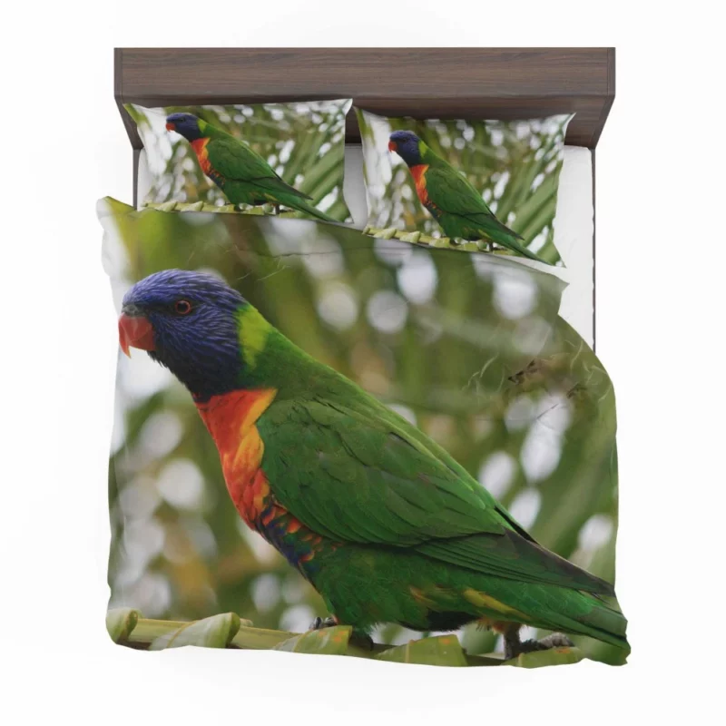 Rainbow Lorikeet Colorful Joy Parrot Splendor Bedding Set 1