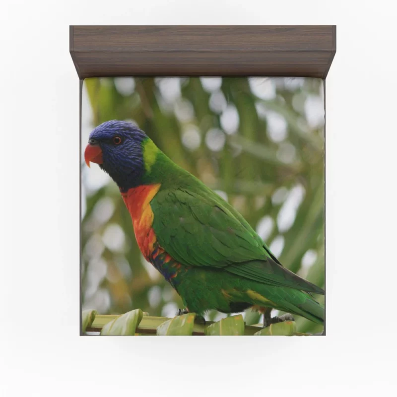 Rainbow Lorikeet Colorful Joy Parrot Splendor Fitted Sheet 1