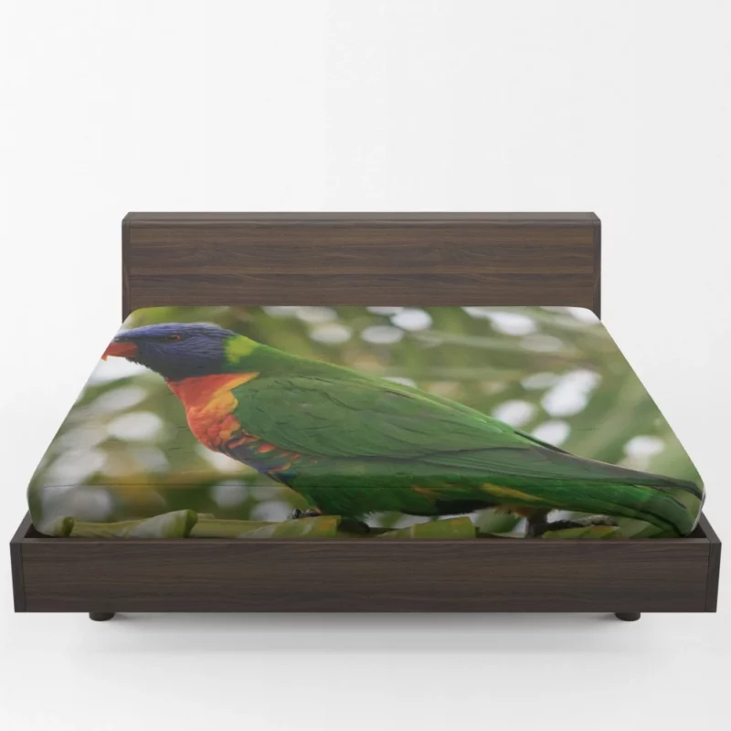 Rainbow Lorikeet Colorful Joy Parrot Splendor Fitted Sheet