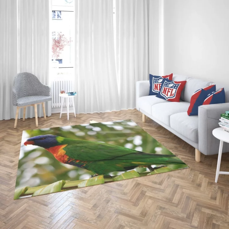 Rainbow Lorikeet Colorful Joy Parrot Splendor Rug 2