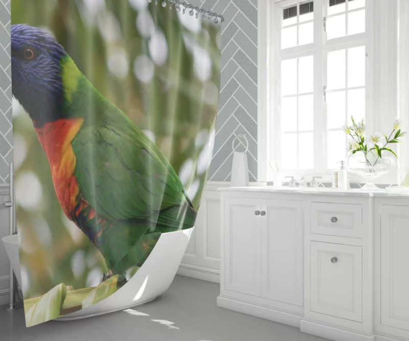 Rainbow Lorikeet Colorful Joy Parrot Splendor Shower Curtain 1