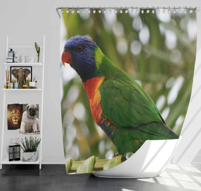 Rainbow Lorikeet Colorful Joy Parrot Splendor Shower Curtain