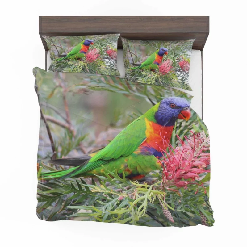 Rainbow Lorikeet Colorful Joy Parrot Wonder Bedding Set 1