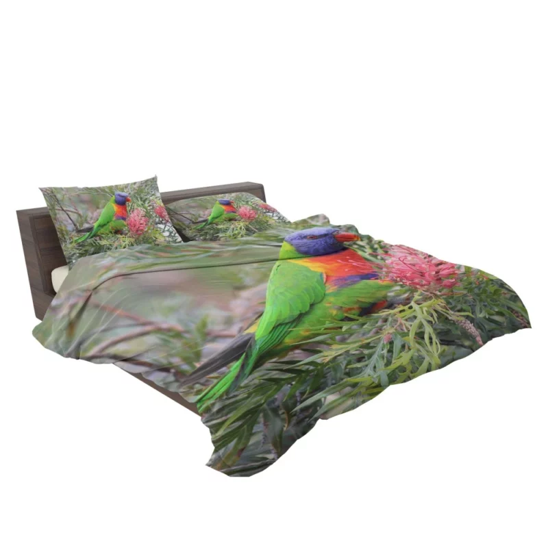 Rainbow Lorikeet Colorful Joy Parrot Wonder Bedding Set 2