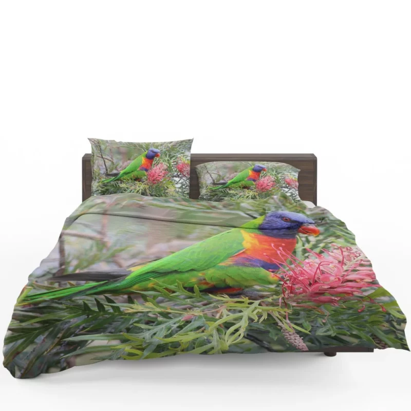 Rainbow Lorikeet Colorful Joy Parrot Wonder Bedding Set