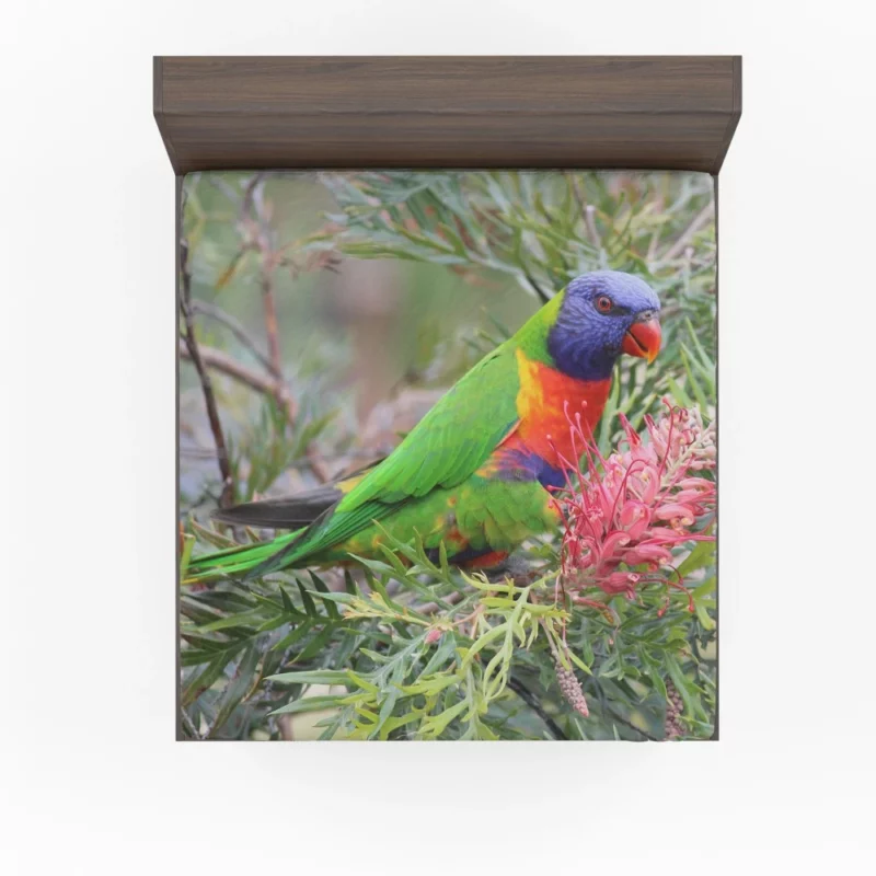 Rainbow Lorikeet Colorful Joy Parrot Wonder Fitted Sheet 1