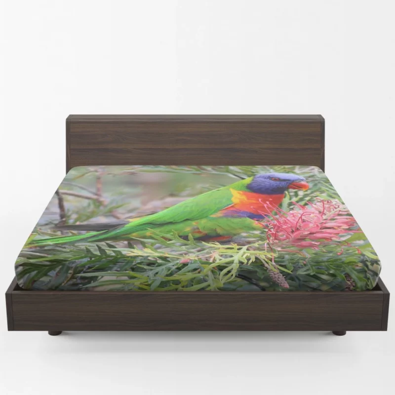 Rainbow Lorikeet Colorful Joy Parrot Wonder Fitted Sheet