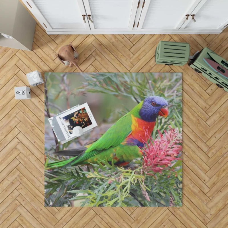 Rainbow Lorikeet Colorful Joy Parrot Wonder Rug