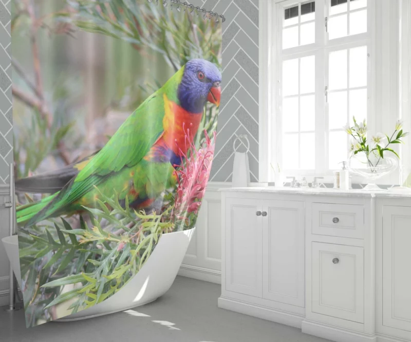 Rainbow Lorikeet Colorful Joy Parrot Wonder Shower Curtain 1