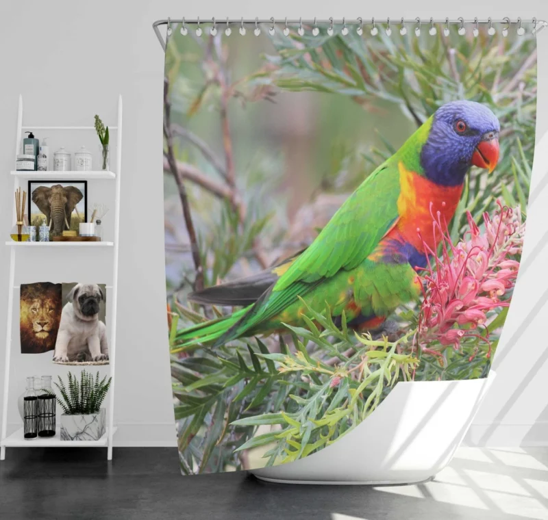 Rainbow Lorikeet Colorful Joy Parrot Wonder Shower Curtain