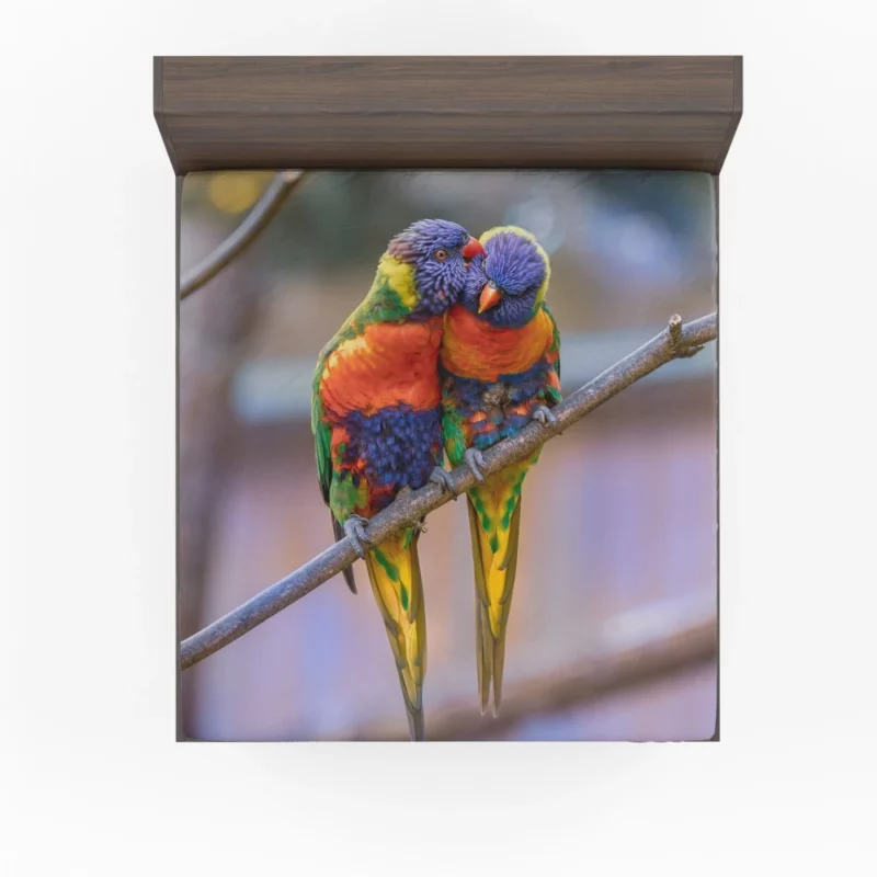 Rainbow Lorikeet Colorful Plumage Parrot Beauty Fitted Sheet 1