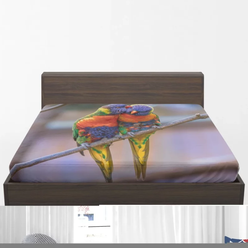 Rainbow Lorikeet Colorful Plumage Parrot Beauty Fitted Sheet