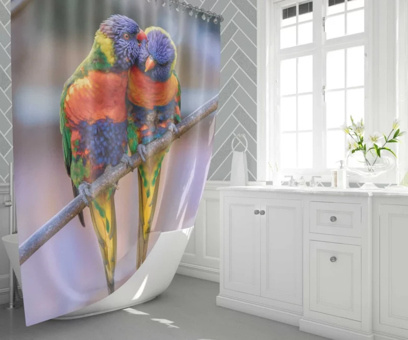 Rainbow Lorikeet Colorful Plumage Parrot Beauty Shower Curtain 1