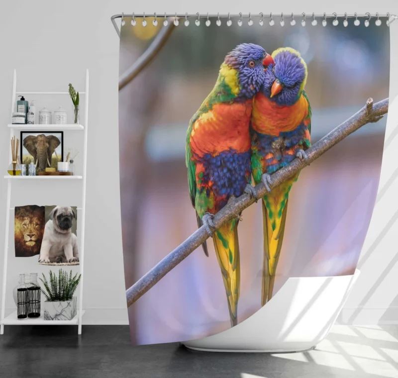 Rainbow Lorikeet Colorful Plumage Parrot Beauty Shower Curtain