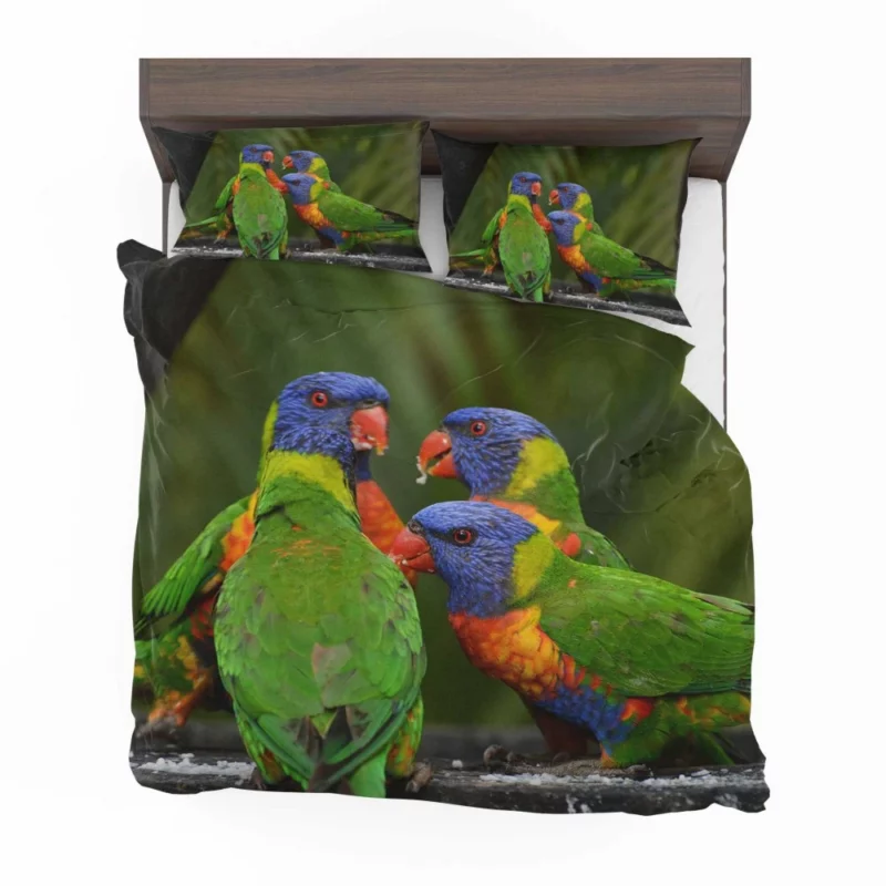 Rainbow Lorikeet Secret Meet Colorful Whispers Bedding Set 1