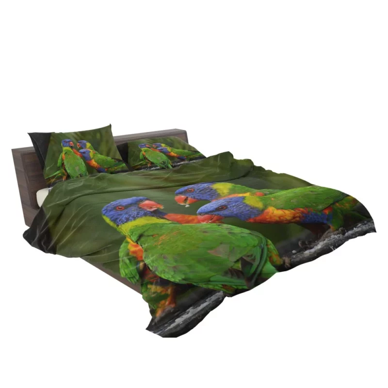 Rainbow Lorikeet Secret Meet Colorful Whispers Bedding Set 2