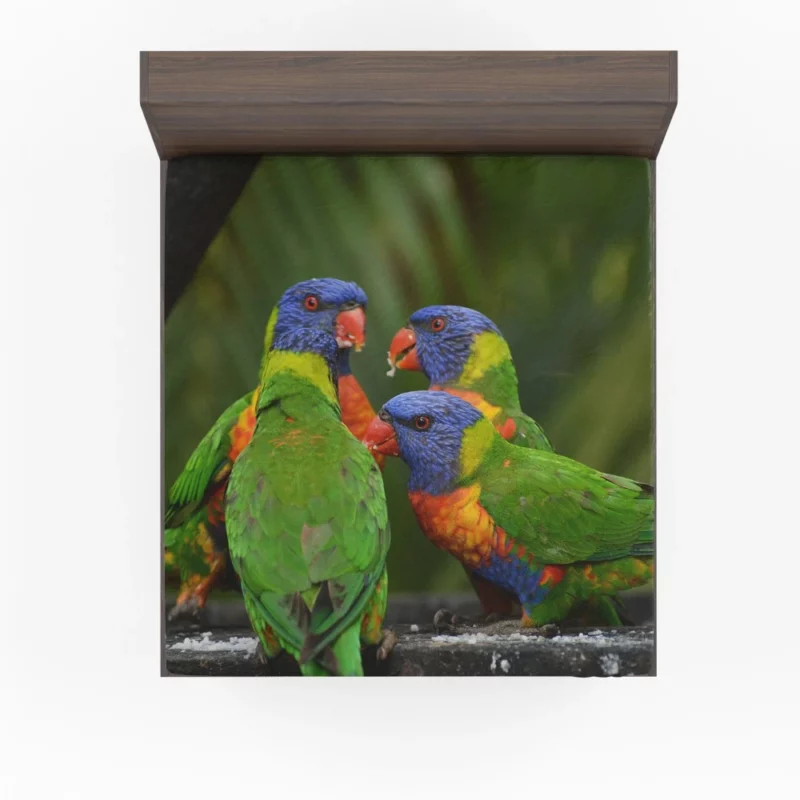 Rainbow Lorikeet Secret Meet Colorful Whispers Fitted Sheet 1