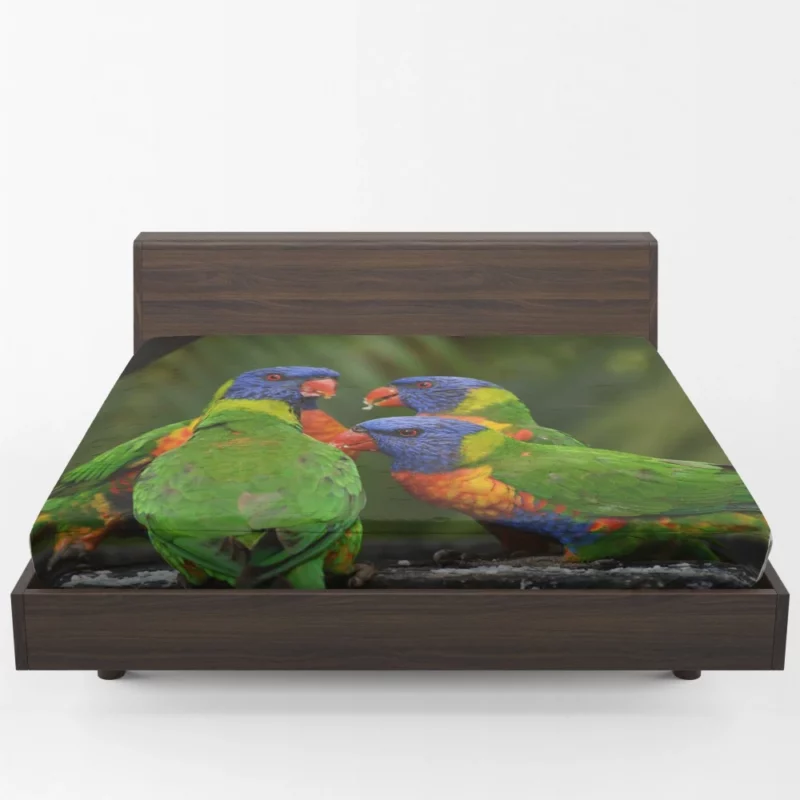 Rainbow Lorikeet Secret Meet Colorful Whispers Fitted Sheet