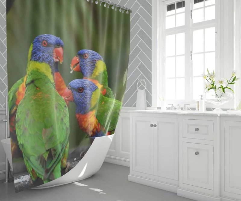 Rainbow Lorikeet Secret Meet Colorful Whispers Shower Curtain 1