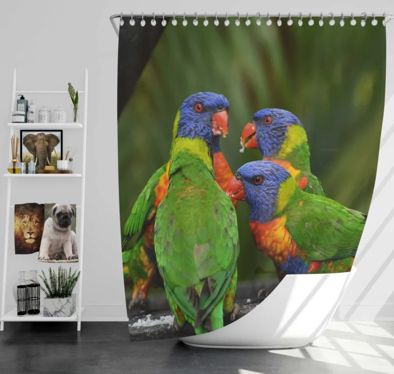 Rainbow Lorikeet Secret Meet Colorful Whispers Shower Curtain