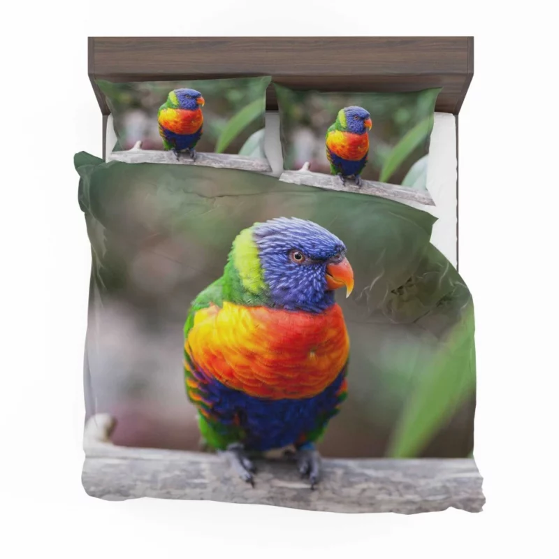 Rainbow Lorikeet Vibrant Plumage Parrot Beauty Bedding Set 1