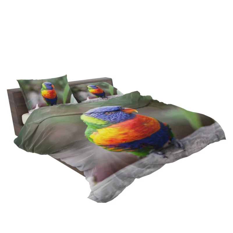 Rainbow Lorikeet Vibrant Plumage Parrot Beauty Bedding Set 2