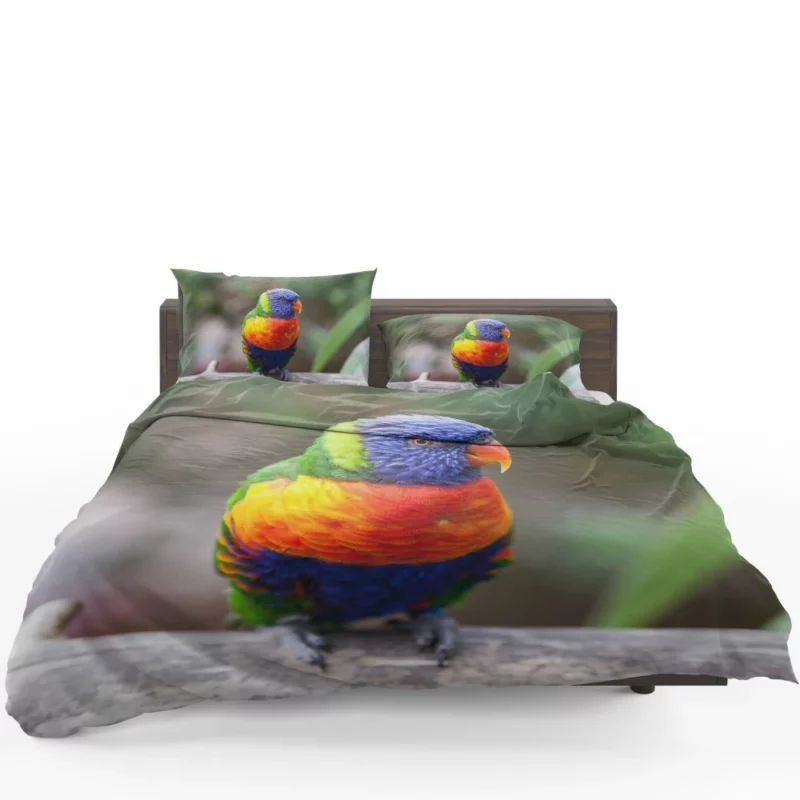 Rainbow Lorikeet Vibrant Plumage Parrot Beauty Bedding Set