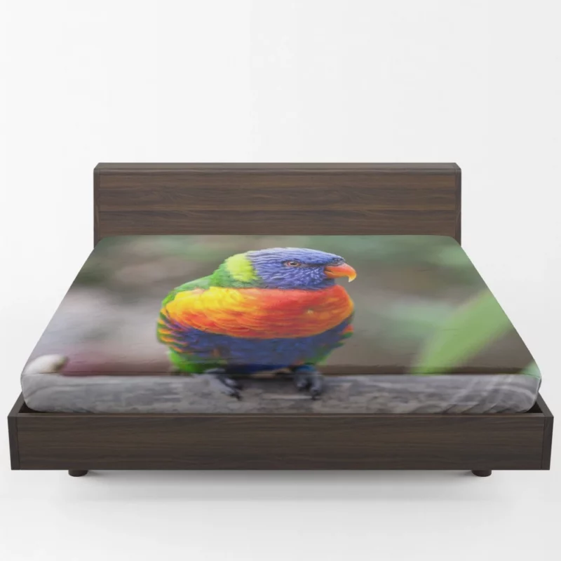 Rainbow Lorikeet Vibrant Plumage Parrot Beauty Fitted Sheet