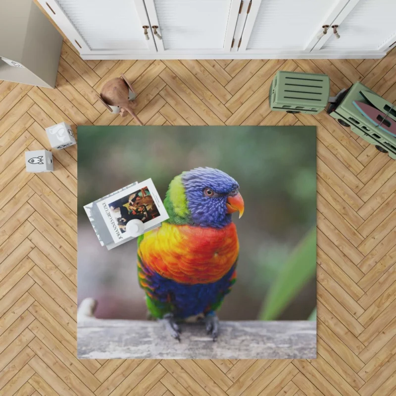 Rainbow Lorikeet Vibrant Plumage Parrot Beauty Rug