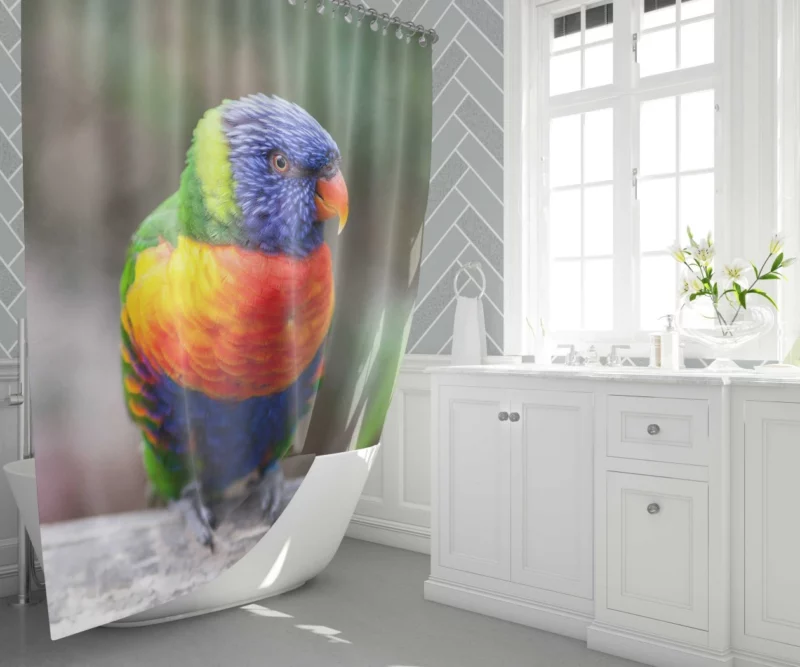 Rainbow Lorikeet Vibrant Plumage Parrot Beauty Shower Curtain 1