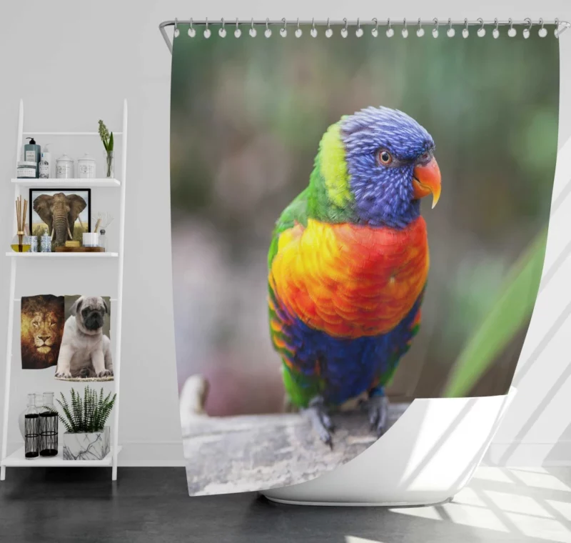 Rainbow Lorikeet Vibrant Plumage Parrot Beauty Shower Curtain