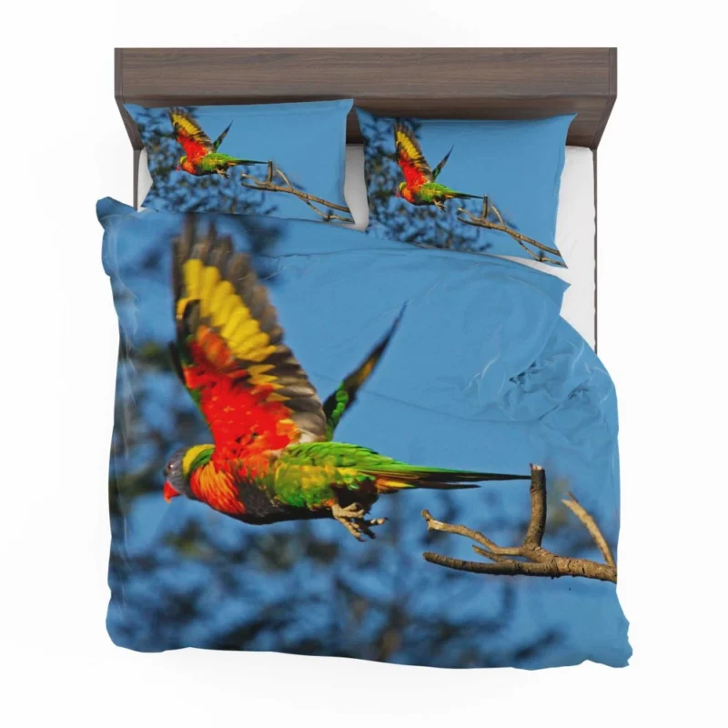 Rainbow Lorikeet Wholesome Flight Playful Parrot Bedding Set 1