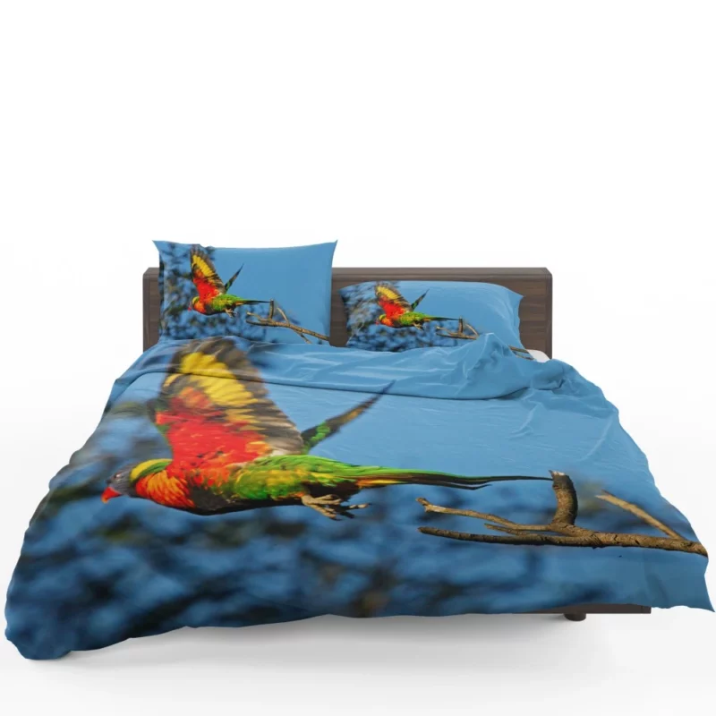 Rainbow Lorikeet Wholesome Flight Playful Parrot Bedding Set