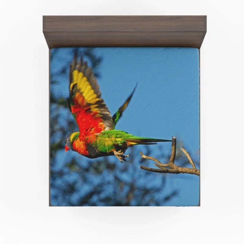 Rainbow Lorikeet Wholesome Flight Playful Parrot Fitted Sheet 1