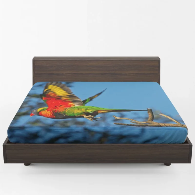 Rainbow Lorikeet Wholesome Flight Playful Parrot Fitted Sheet