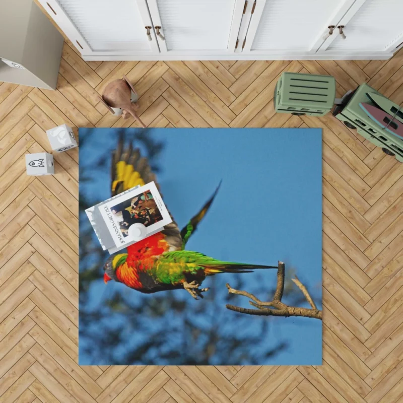 Rainbow Lorikeet Wholesome Flight Playful Parrot Rug