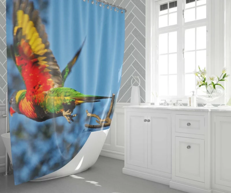 Rainbow Lorikeet Wholesome Flight Playful Parrot Shower Curtain 1