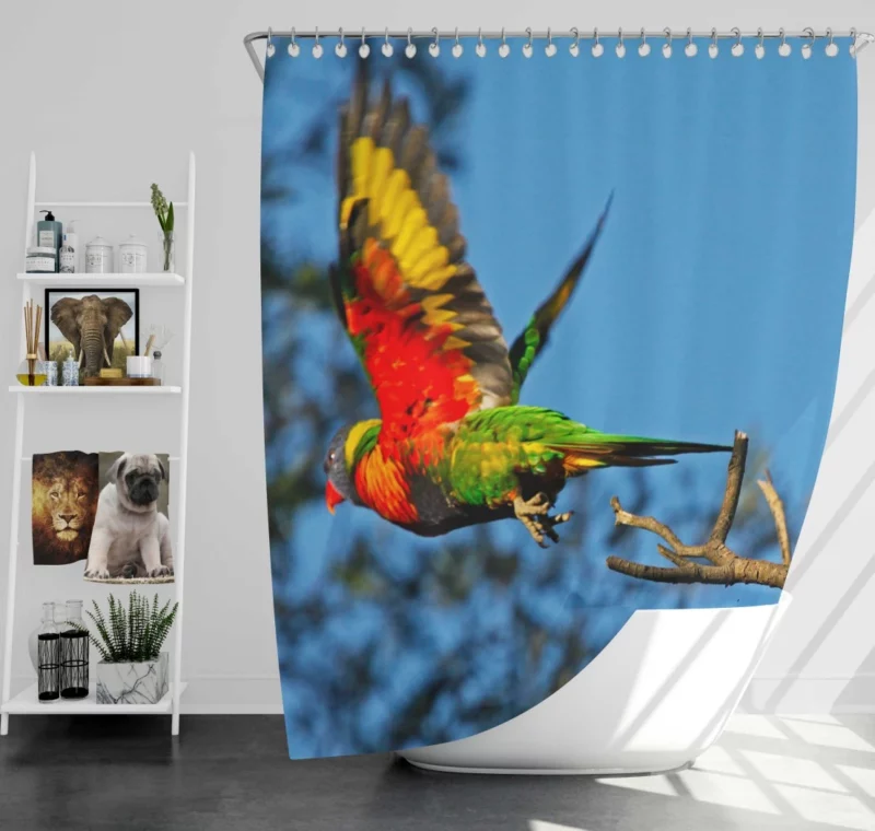 Rainbow Lorikeet Wholesome Flight Playful Parrot Shower Curtain