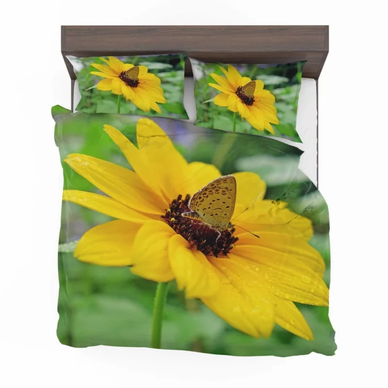 Rainy Butterfly Nature Whimsical Beauty Bedding Set 1