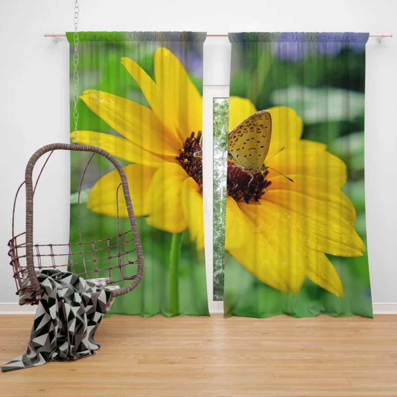 Rainy Butterfly Nature Whimsical Beauty Curtain