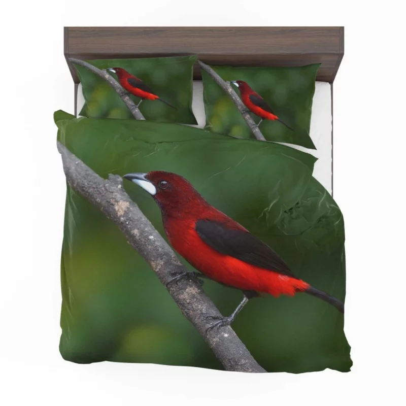 Ramphocelus dimidiatus Vibrant Tropical Bird Bedding Set 1