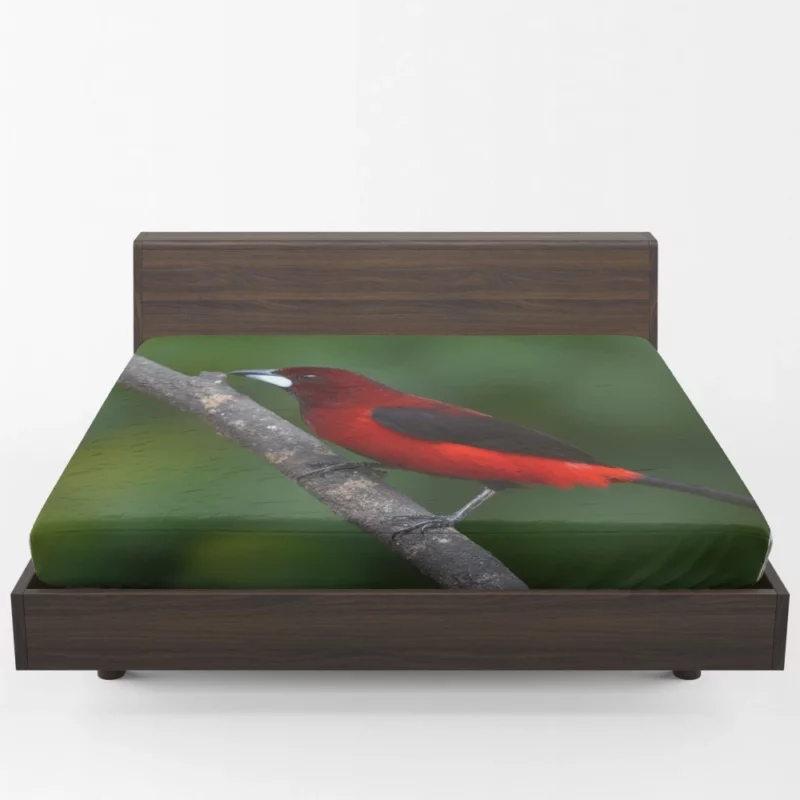 Ramphocelus dimidiatus Vibrant Tropical Bird Fitted Sheet