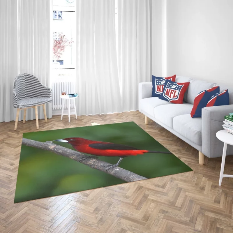 Ramphocelus dimidiatus Vibrant Tropical Bird Rug 2