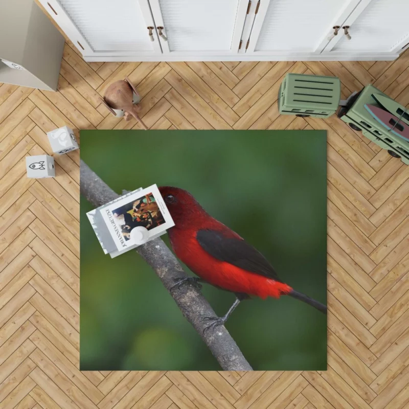 Ramphocelus dimidiatus Vibrant Tropical Bird Rug