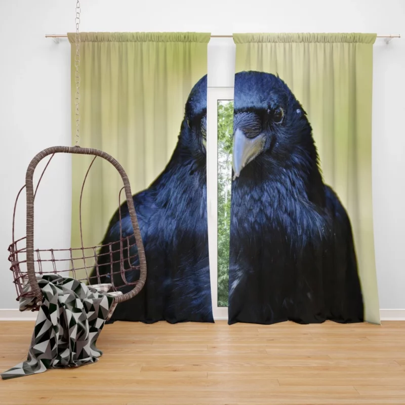 Raven Dark Charm Enigmatic Bird Curtain